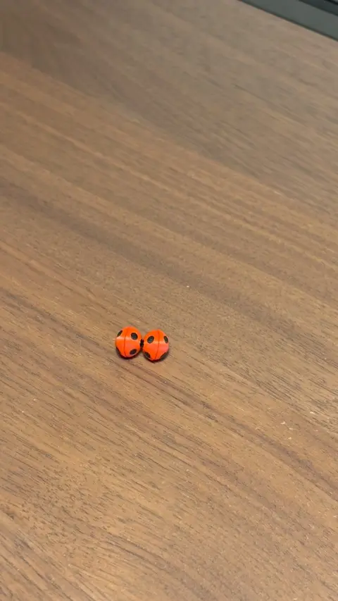 Ohrringe ohne Ohrloch stechen? Zum Weltkindertag hab ich diese Ladybug